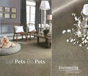 Let Pets Be Pets on Carpeting Specials